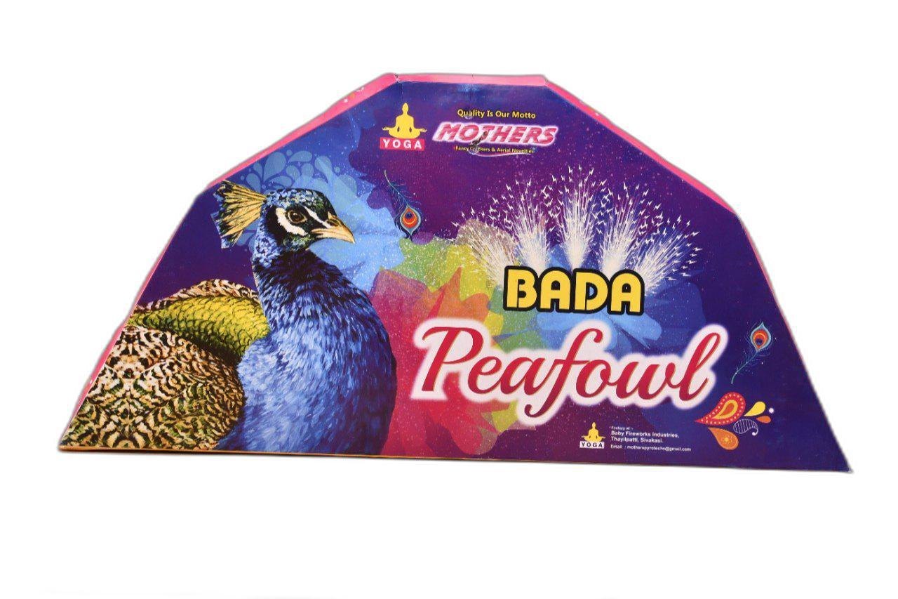 Ragavendra crackers FANCY ITEMS
